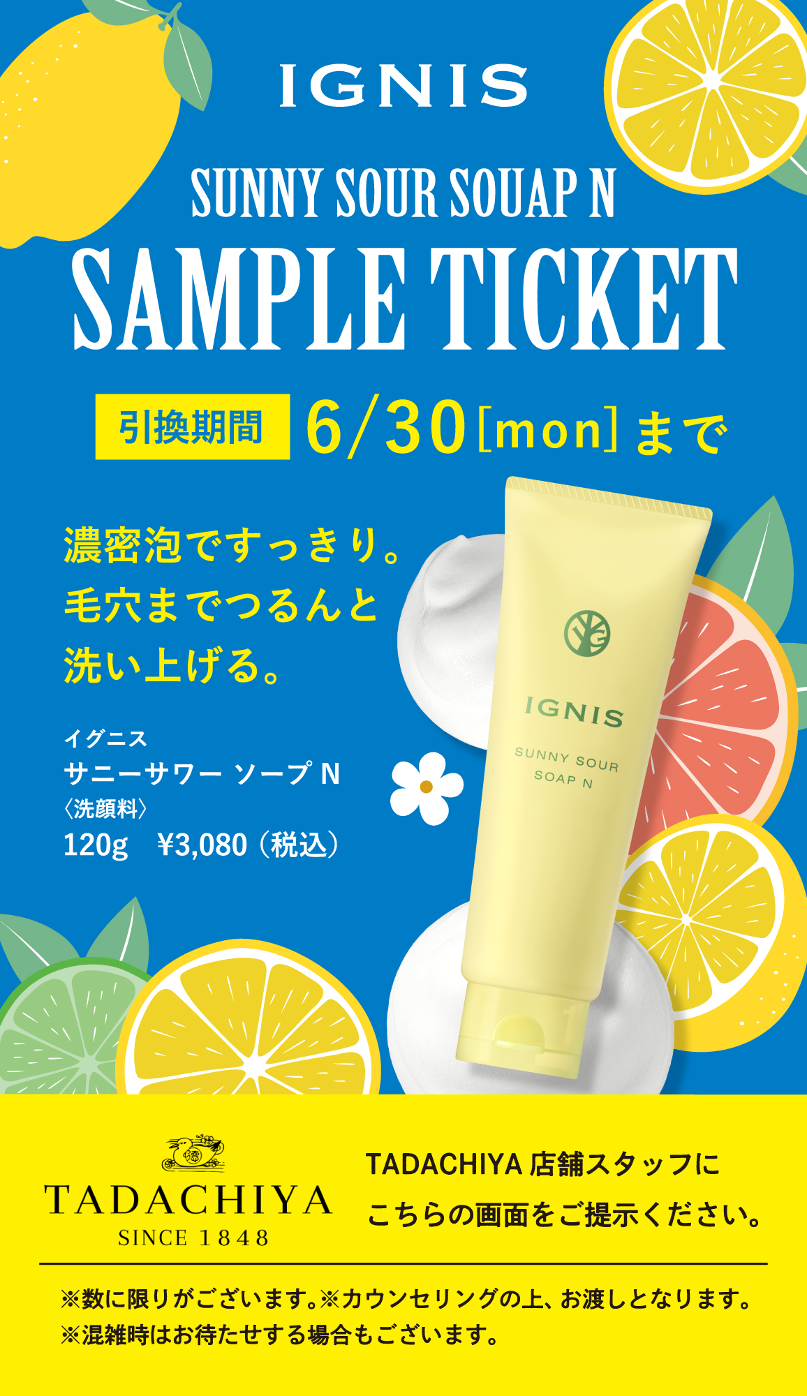 IGNIS SAMPLE TICKET